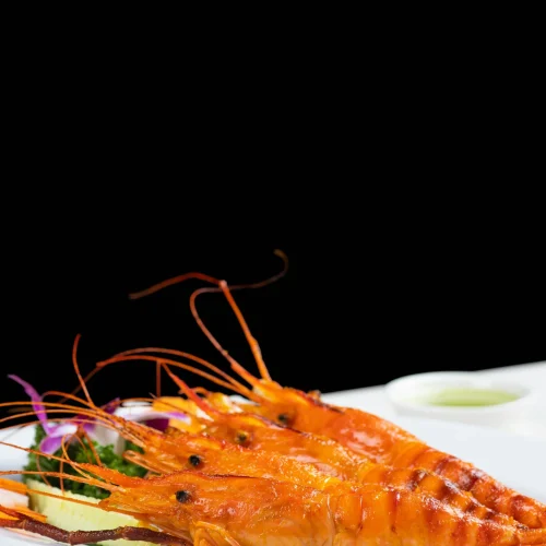 Prawn